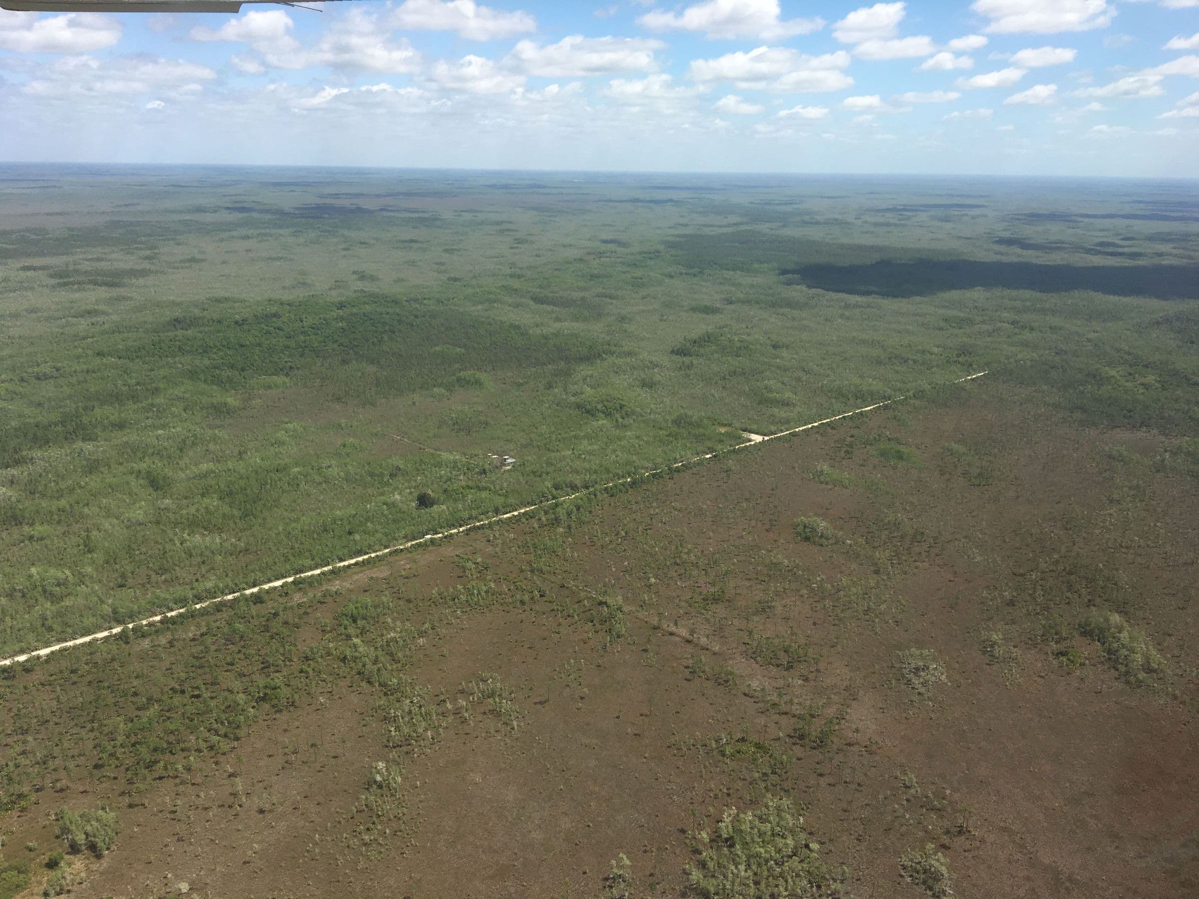 Everglades