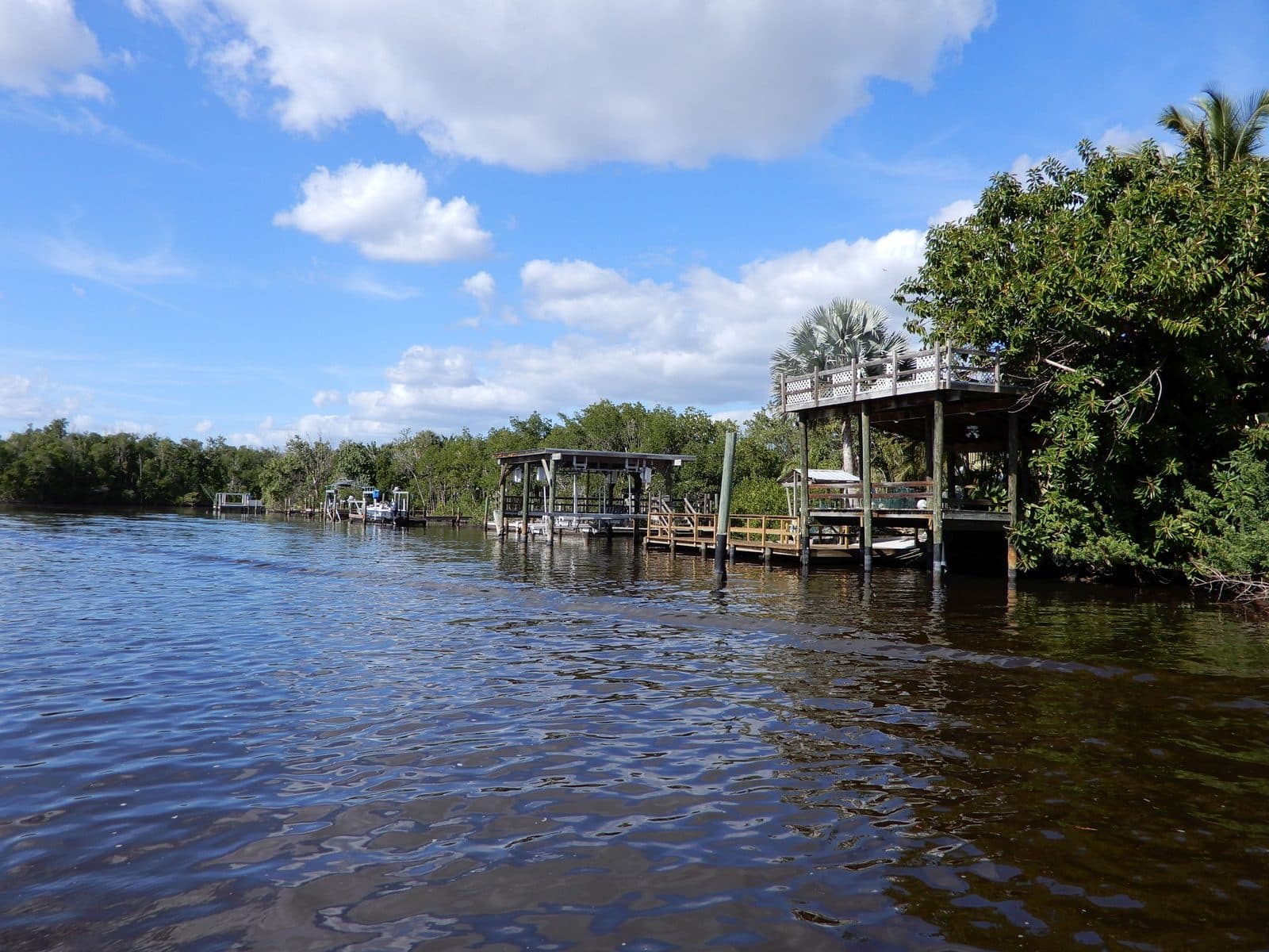 Řeka v Everglades s dřevěnými moly a domky na kůlech mezi mangrovy