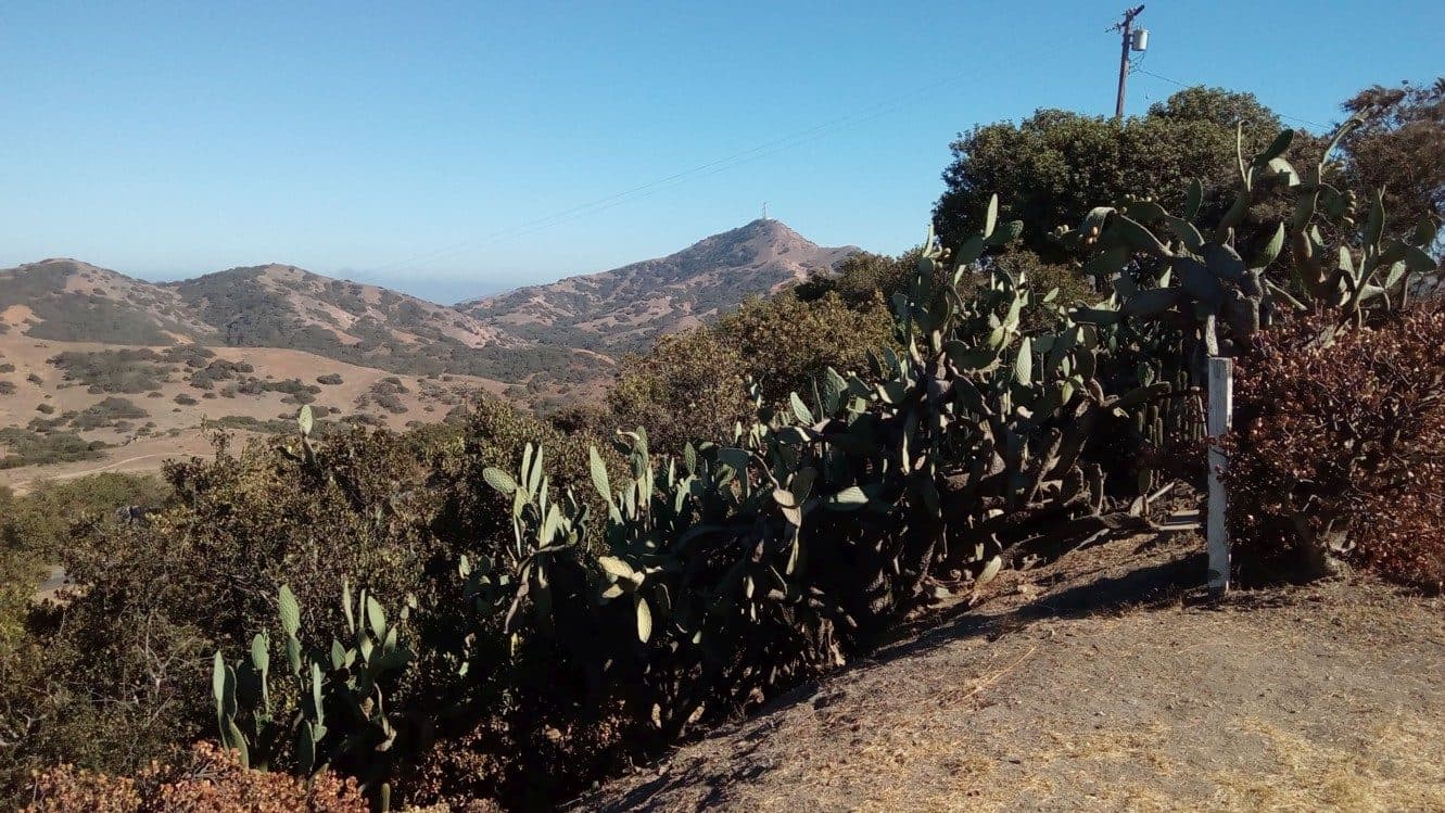 Catalina Island