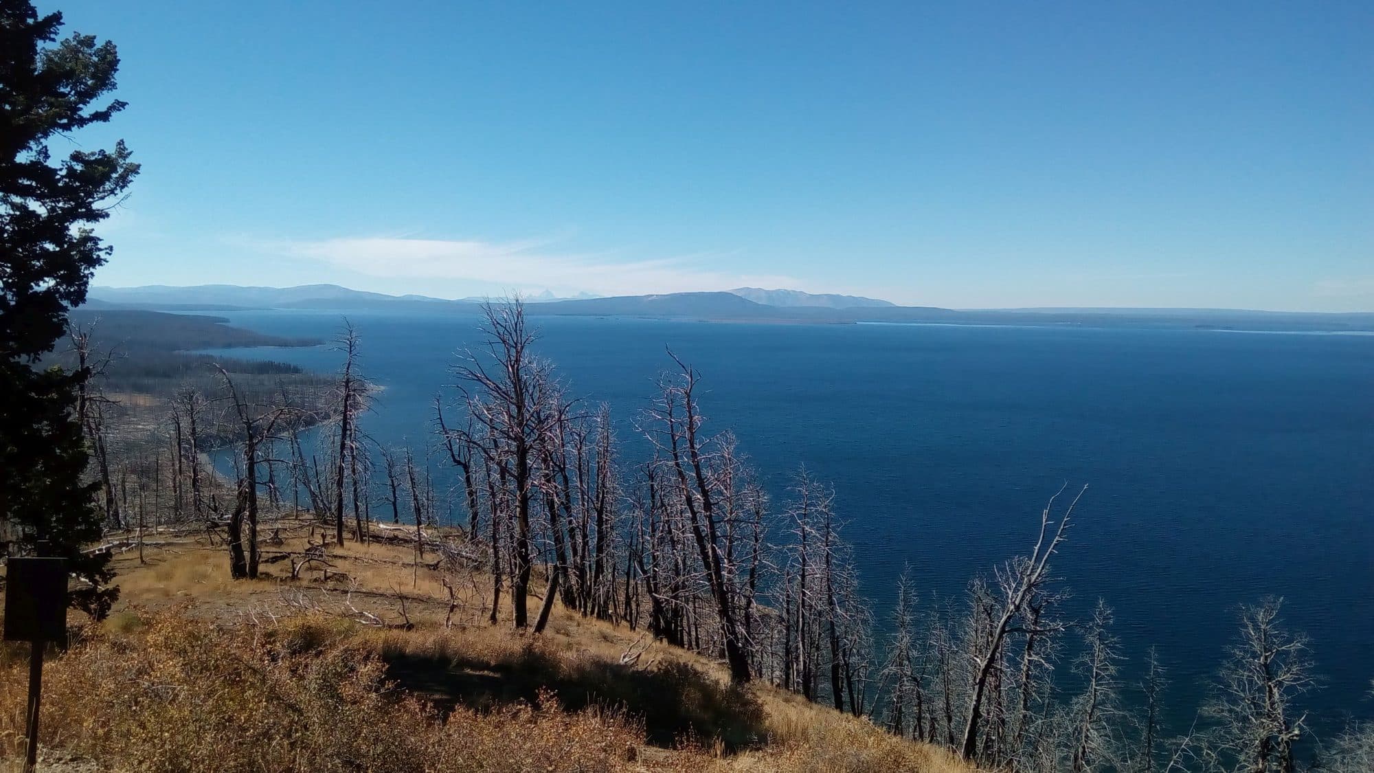 Yellowstone