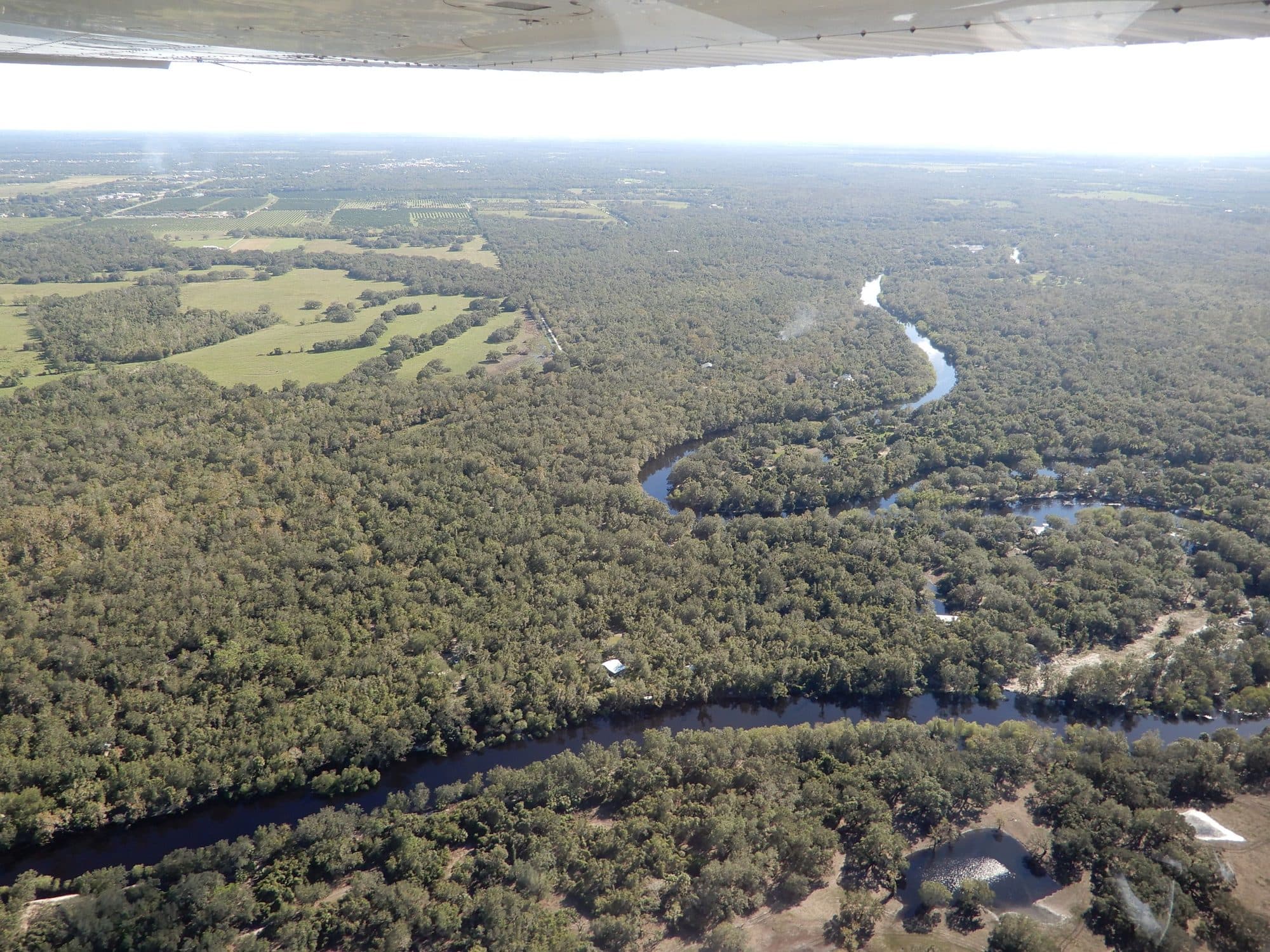 Řeka Piece River protékající přírodou střední Floridy.