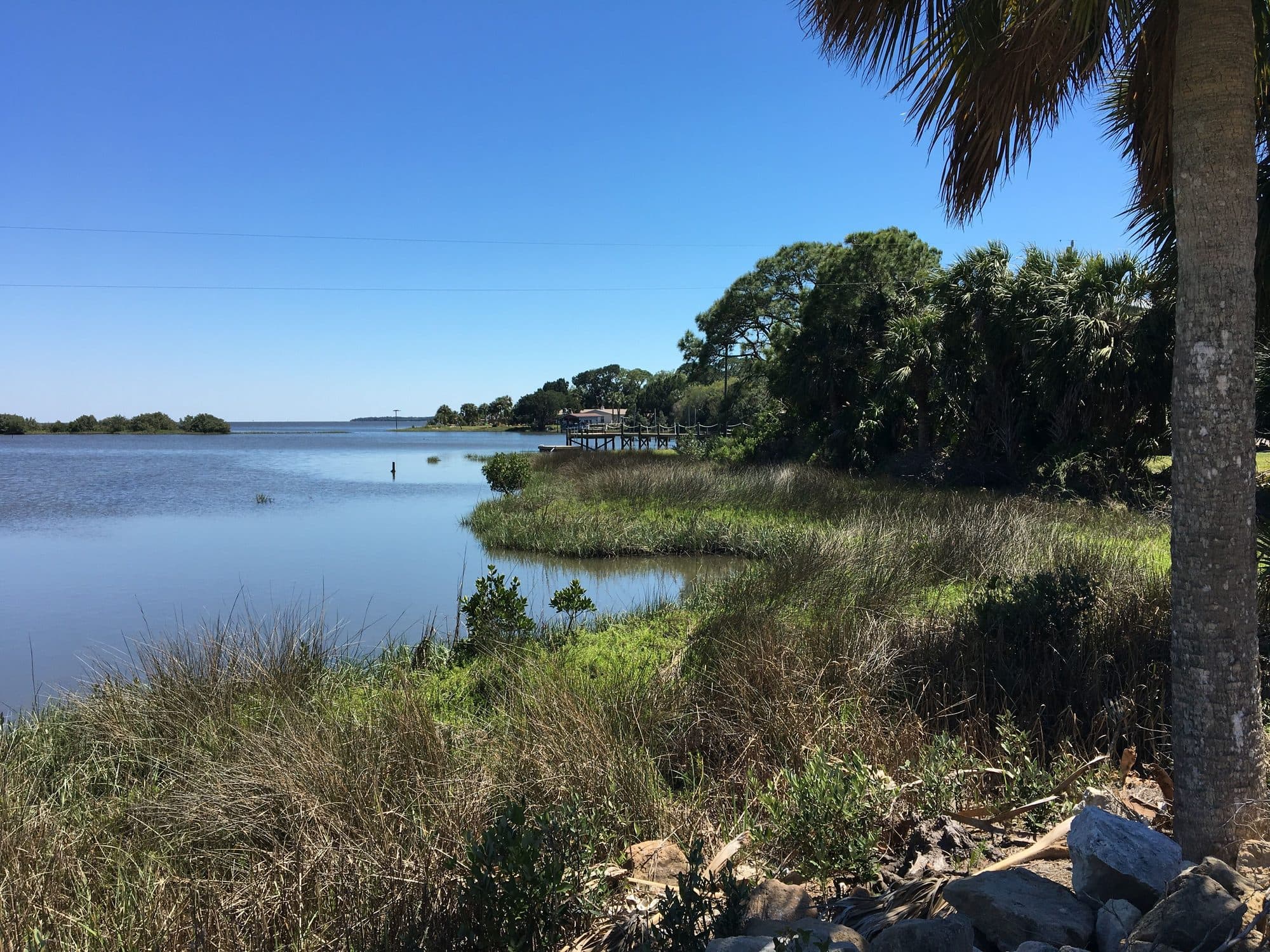 CedarKey