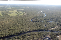 Řeka Piece River protékající přírodou střední Floridy.