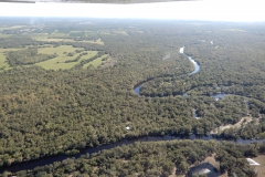 Řeka Piece River protékající přírodou střední Floridy.