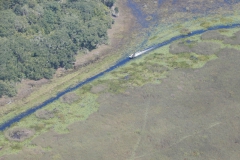 Vznášedlo v bažinách v blízkosti Crystal River