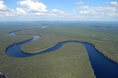 Džunglí vonící Suwanee river plná aligátorů a dalších druhů floridské divočiny
