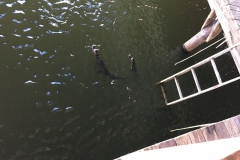 029_Gators